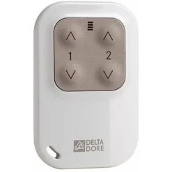 Delta Dore - TYXIA 1400 Télécommande Porte-clé Pour éclairages Et Automatismes