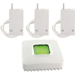DELTA DORE Pack RF 6600 FP Connecté (6050658/629)