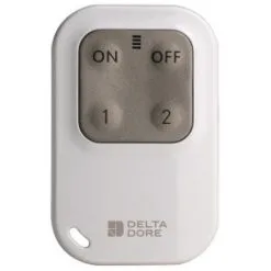 DELTA DORE Télécommande Porteclé Radio Pour Système Dalarme Et Automatismes